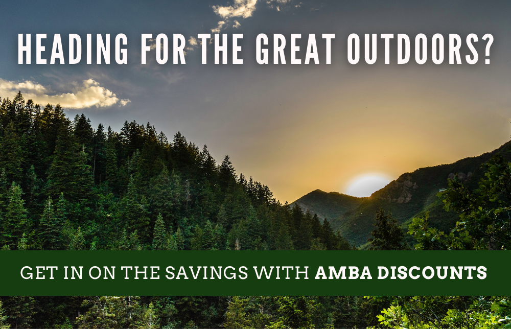 AMBA discounts 
summer discounts 
tpea blog Image